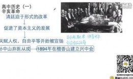 真实历史爆料视频大全最新