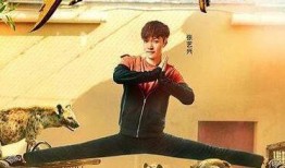 功夫瑜伽高清在线观看,穿越时空的传奇之旅