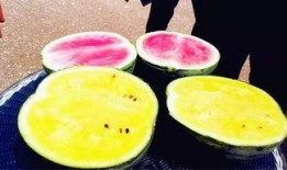 最新校园爆料吃瓜,揭秘最新吃瓜爆料背后的真相