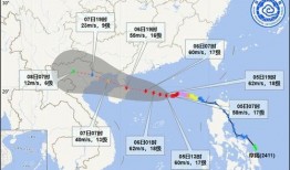 最新爆料台风事件有哪些