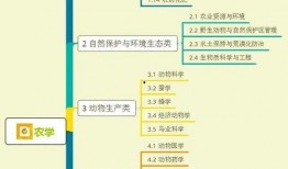 火龙衣服爆料视频大全集,揭秘神秘服饰背后的传奇故事