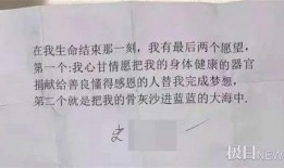 三亚女子爆料案件最新,揭秘背后惊人真相