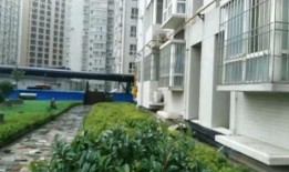 儋州家园广场爆料视频大全,精彩瞬间回顾