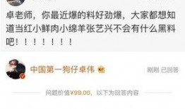 卓伟爆料赵丽颖流产视频,卓伟独家视频揭露惊人内幕