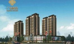 儋州家园广场爆料视频大全,精彩瞬间回顾