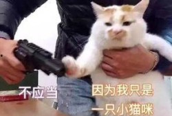 永劫表情包爆料视频,揭秘热门视频背后的趣味瞬间