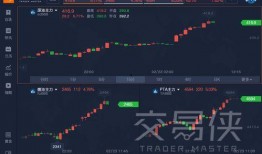 美油期货最新爆料,市场动态与价格走势深度解析