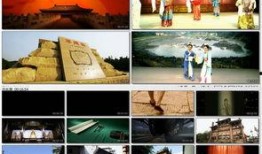 真实历史爆料视频大全最新