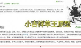 小草神视频爆料,揭秘幕后真相，带你走进神秘世界