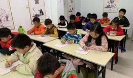 最新爆料开封小学生,揭开校园奇闻之谜