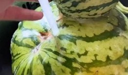 明天免费吃瓜的搞笑视频,笑料横生的搞笑视频大放送！