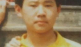 镇平网红吃瓜事件始末视频,一场网络舆论的风暴与反思