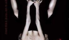 蝙蝠韩国电影在线观看,蝙蝠韩国电影在线观看之旅