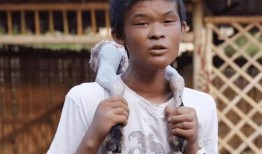 小马云直播爆料视频大全,独家爆料视频大全汇总