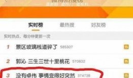 卓伟夫妻爆料事件视频,揭秘娱乐圈背后的真相与争议