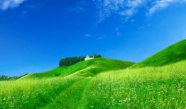 热点爆料风景素材视频,揭秘热门爆料素材视频背后的自然奇观