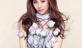 李艺娱乐圈爆料视频大全