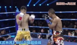 崇阳最新爆料新闻视频播放,视频揭秘惊人内幕，真相令人震惊！