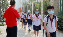 最新爆料开封小学生,揭开校园奇闻之谜