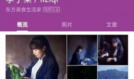 李子柒爆料视频