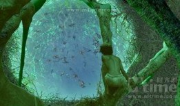 少年的奇幻漂流在线观看,一场惊心动魄的冒险之旅