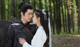 《意》在线观看,一场跨越时空的浪漫邂逅