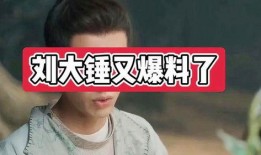 刘大锤爆料情侣是谁呀视频,视频曝光的神秘情侣身份大猜想