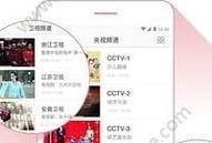 色涩色涩手机在线观看,揭秘热门色情影片背后的秘密