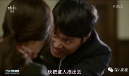 同性视频在线观看,在线观看同性视频的多元视角