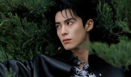 圈内小料爆料王鹤棣,从流量小生到实力派演员的蜕变之路