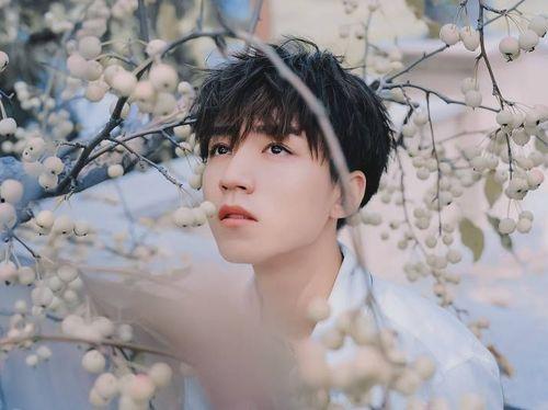 吃瓜鹅娱乐速报肖战,吃瓜鹅娱乐速报,揭秘明星背后的故事